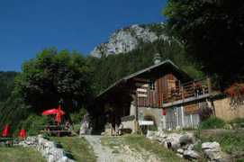 Verel