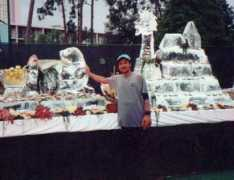 allstarice.com Vergal