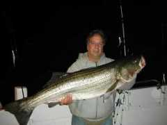 fishtheisland.com Vergona