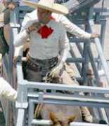 decharros.com Verija