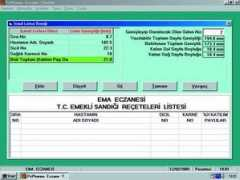 emasoft.com Verile