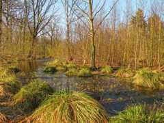 loegiesen.nl Verlande