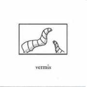 Vermis