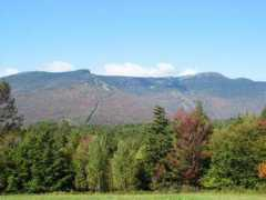 washingtonpublishers.com Vermont