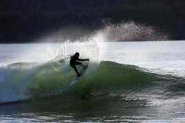 surfingvancouverisland.com Veroba