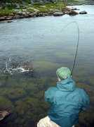 fishbooking.com Versina