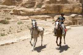 dankertvervat.com Vervat