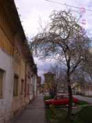 panoramio.com Veselina