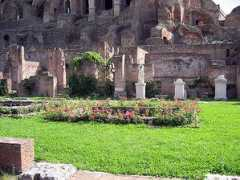 myworldshots.com Vestali