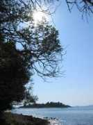 panoramio.com Vestar
