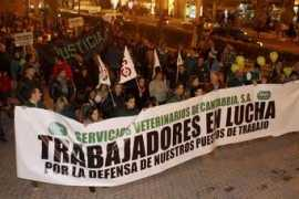 eldiariomontanes.es Veterinarios