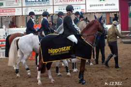 poneydesport.com Vetker