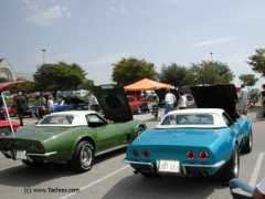 Vettes