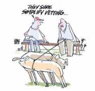 Vetting