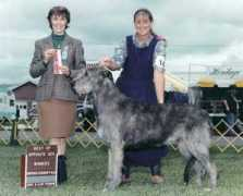 aeriedogs.com Vevina
