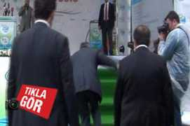 Veysel