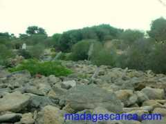 madagascarica.com Vezos
