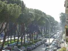 Viale