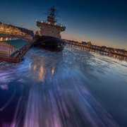 photoforum.ru Vibas