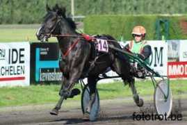 fototrot.be Vicardo