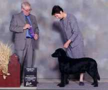 flatcoats.ca Vickya
