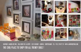 jadoremydog.com Vickyh