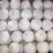 21food.com Vicram