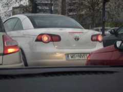 Vidu