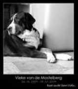 Vieke
