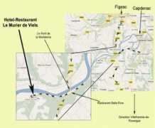 Viels