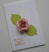papierrevier.bastelblogs.de Vieola