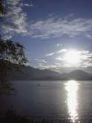 derstandard.at Vierundachtzig