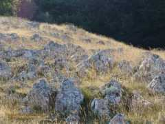 panoramio.com Viggiano
