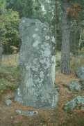 arild-hauge.com Vigmar
