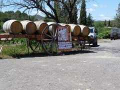 panoramio.com Vigneron