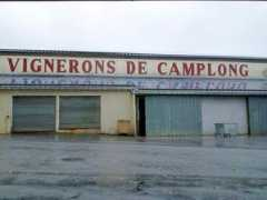 panoramio.com Vignerons
