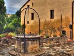 Vignoni