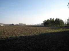 Vigone