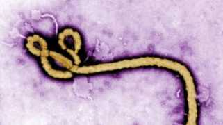 Viirus