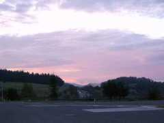 Vijoi