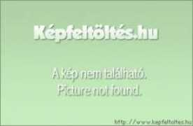 mk-ashley-fan.gportal.hu Vikkiy