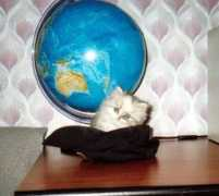 alt.citycat.ru Vikushka