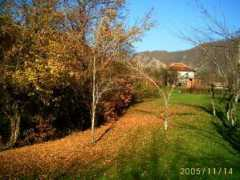 panoramio.com Vilage