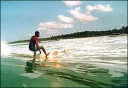 winne.com Vilasco