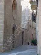 Vilet