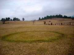 panoramio.com Vilino