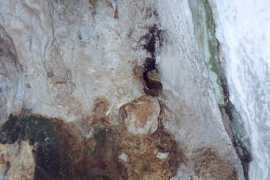 Villala