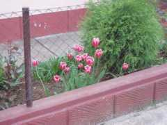 gallery.site.hu Villany