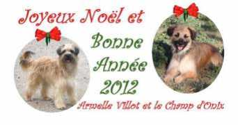 Villot