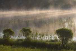 photodom.com Vilnis